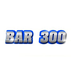 Bar 300